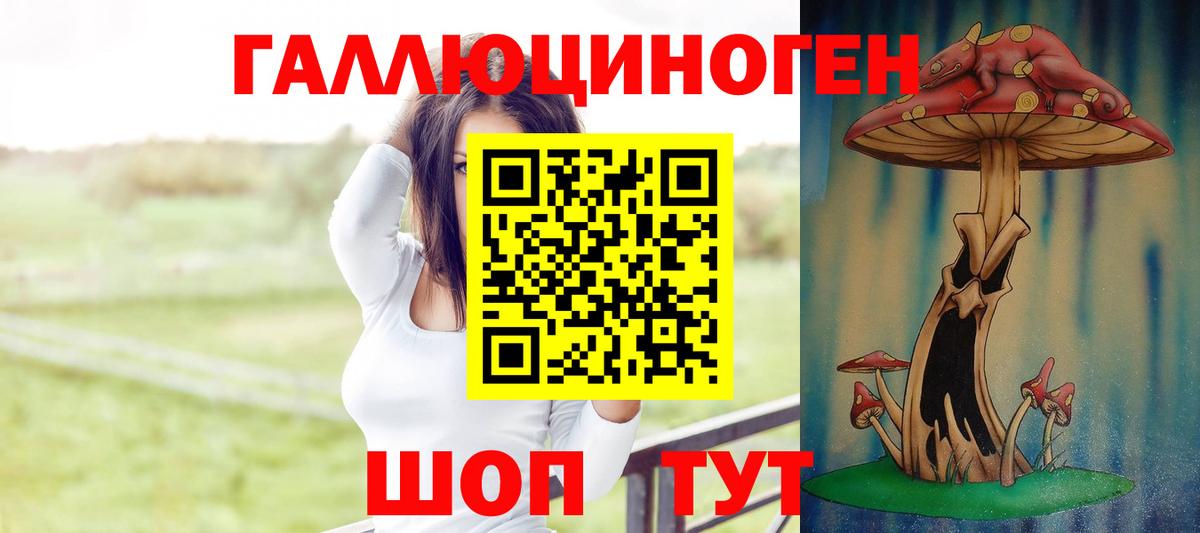 Псилоцибиновые грибы GOLDEN TEACHER  Вход с VPN  как найти закладки  Каспийск 